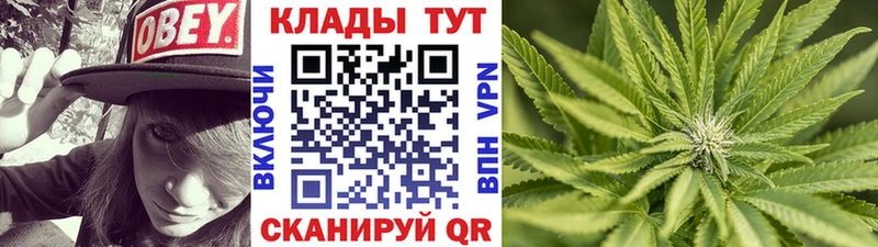 Где купить Козьмодемьянск КОКАИН Меф ОМГ ОМГ рабочий сайт Героин АМФ МАРИХУАНА Галлюциногенные грибы