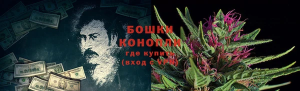 прущая мука Белокуриха