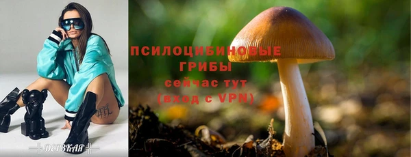 ешки Иннополис