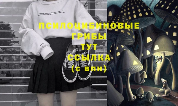 дурь Алексин