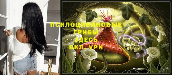 прущая мука Белокуриха